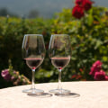 Unleashing the Best of Rockwall, TX Wine Festivals