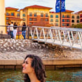 The Ultimate Guide to Pet-Friendly Wine Festivals in Rockwall, TX