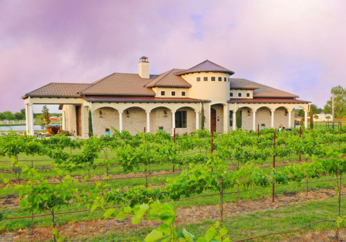 Discovering the Best Local Wineries at Wine Festivals in Rockwall, TX